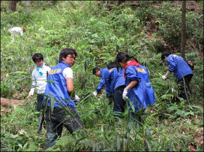 2012_06satoyama2.jpg