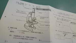 何が見えるかな？ ～1年・生物基礎～ - 野崎高校公式ブログ