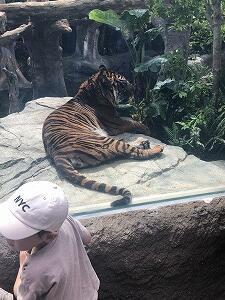 IMG_1716.jpg