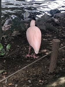 IMG_1723.jpg