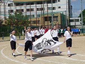 DSC05532.jpg