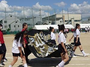 DSC05556.jpg