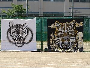 DSC05611.jpg