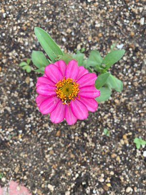 IMG_2024-06-17-112036.JPG