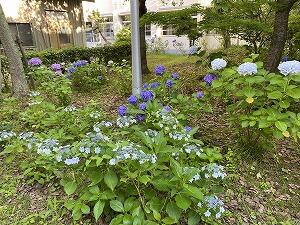 IMG_2989.jpg