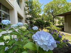 IMG_3027.jpg