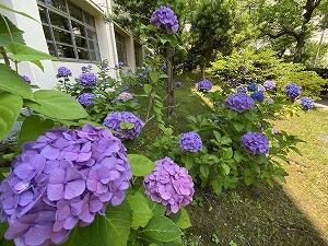 IMG_3029.jpg