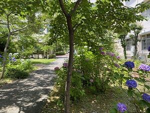 IMG_3031.jpg