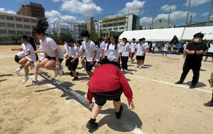 IMG_E2896.JPG