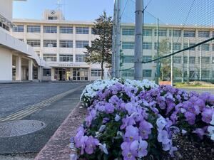 IMG_1369.jpg