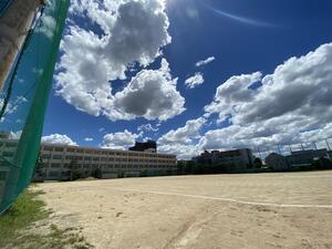 IMG_3113.JPG
