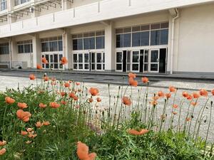 IMG_1657.jpg