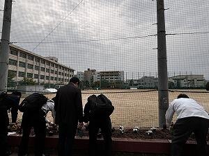 IMG_9627.jpg