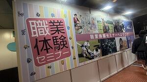 IMG_4960.jpg