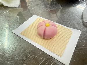 IMG_6872.jpg