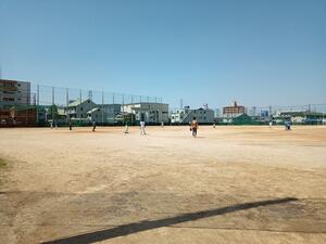 IMG_20250409_123149_658.jpg