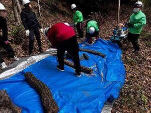 2026-01-24 12-33-49.JPG