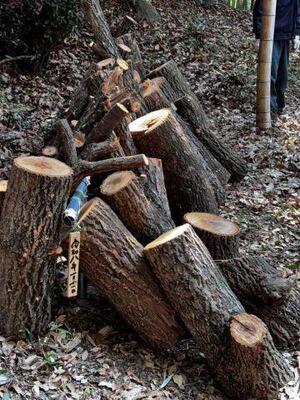 2026-01-24 12-34-34.JPG