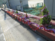 2013.11.22 012[1].jpg