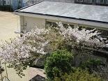 初日IMG_1524.jpg
