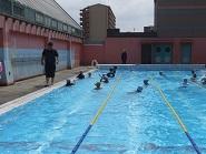 水泳DSCF4239.jpg