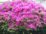 全IMG_3422.jpg