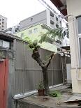 台風IMG_2493.jpg