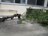 台風IMG_2490.jpg