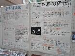 文IMG_4029.jpg