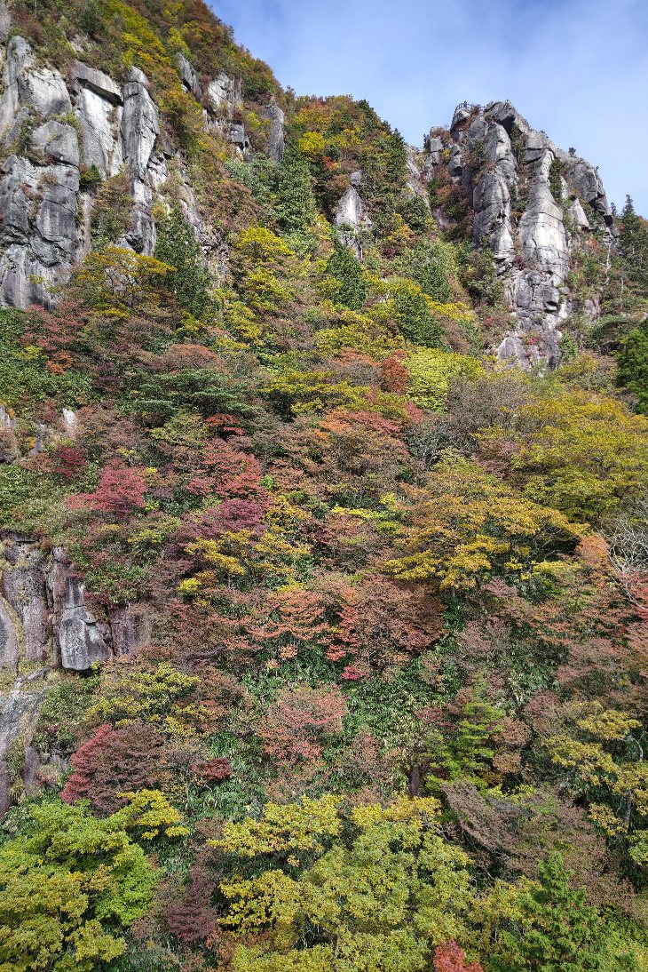 DSC_0195.JPG