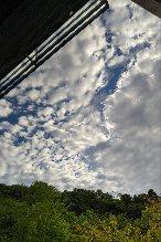 DSC_0806.JPG