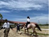 IMG_2884.jpeg