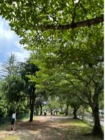 IMG_2909.jpeg