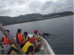 IMG_2994.jpeg