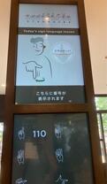IMG_6028.jpeg