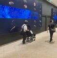 IMG_6075.jpeg