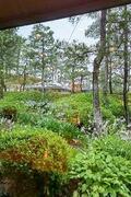 IMG_6445.jpeg