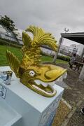 IMG_6460.jpeg