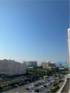 IMG_9003.jpeg