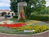 IMG_9102.jpeg