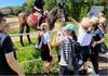 IMG_9284.jpeg