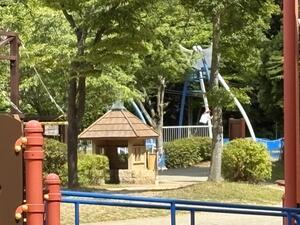 IMG_2664.jpeg