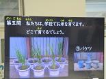 小IMG_1717.jpg