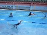 プールIMG_2286.jpg
