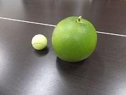 ぶんたんDSCF4715.jpg