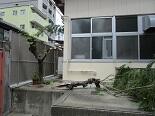 台風IMG_2494.jpg