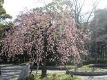 小IMG_3211.jpg