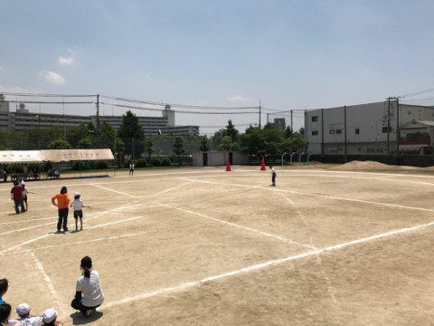IMG_2894.jpg