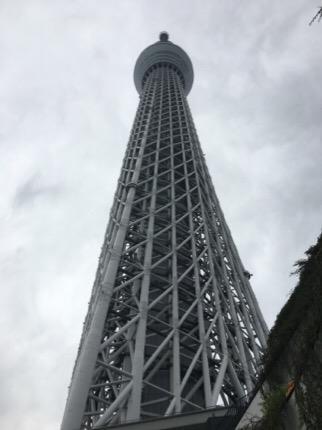 IMG_4220.jpg