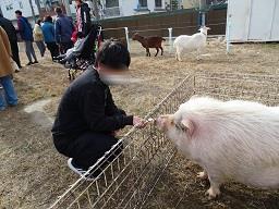 えさ１.jpg